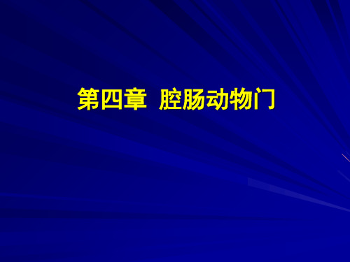 第四章腔肠动物门