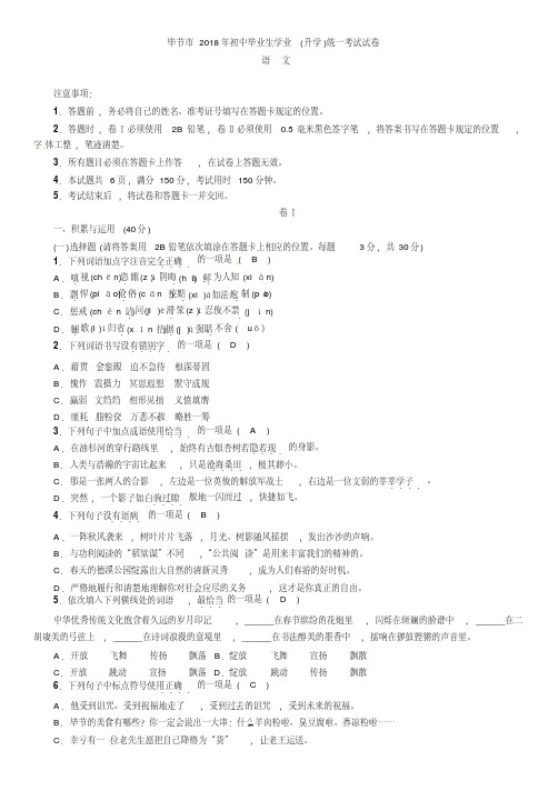 毕节市2018年初中毕业生学业(升学)统一考试语文试卷及答案