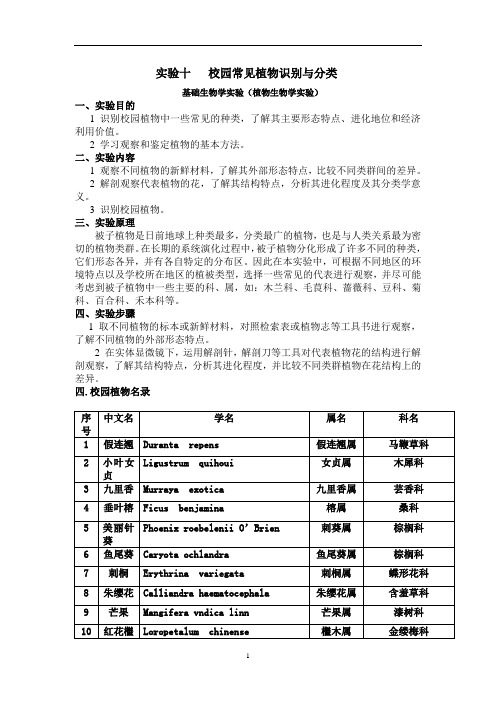 校园常见植物实验报告