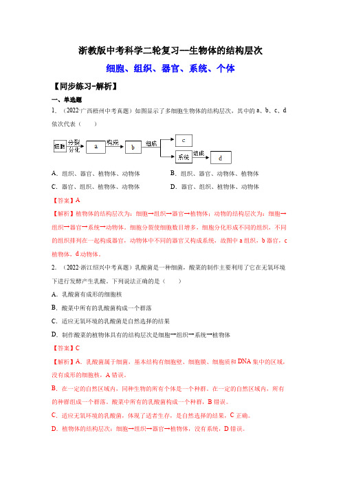 4-生物体的结构层次(练习)(解析版)