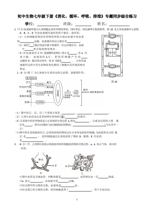 初中生物七年级下册《消化、循环、呼吸、排泄》专题同步综合练习