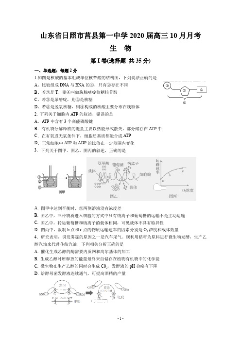 山东省日照市莒县第一中学2020届高三10月月考(生物)