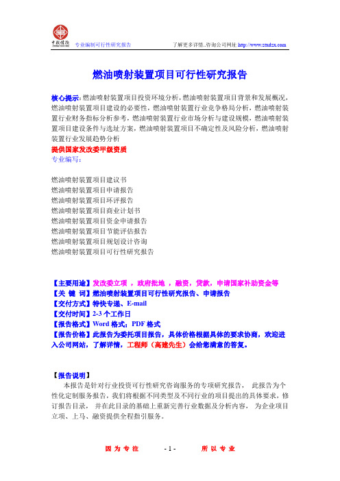 燃油喷射装置项目可行性研究报告