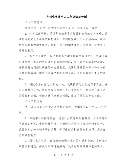 公司业务员个人工作总结及计划