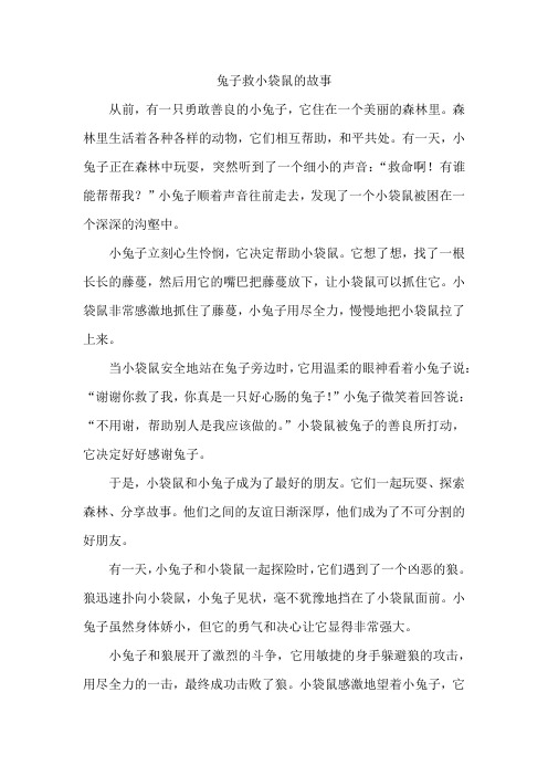 兔子救小袋鼠的故事