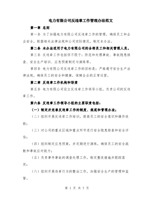 电力有限公司反违章工作管理办法范文（二篇）