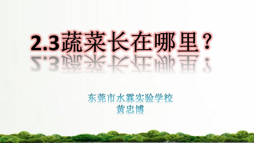 粤教版科学一年级上册课件:2.3蔬菜长在哪里