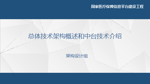 国家医疗保障信息平台-总体技术架构概述和中台技术介绍