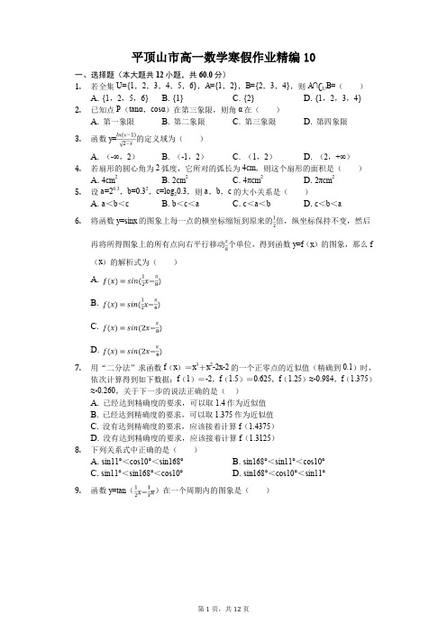 平顶山市高一数学寒假作业精编(含答案) (10)