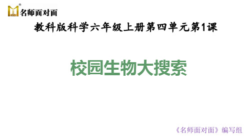 教科版六年级上册科学教学课件六上4.1校园生物大搜索