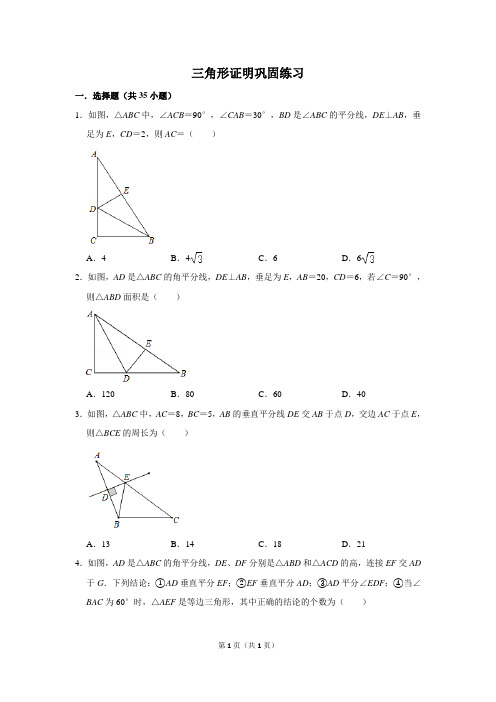初中数学三角形证明巩固练习含答案