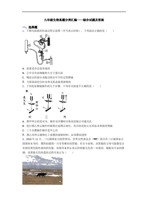 九年级生物真题分类汇编——综合试题及答案