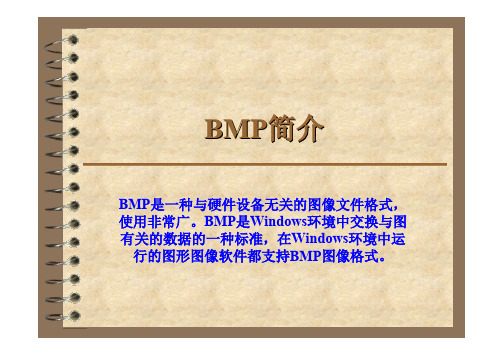 BMP图片格式说明