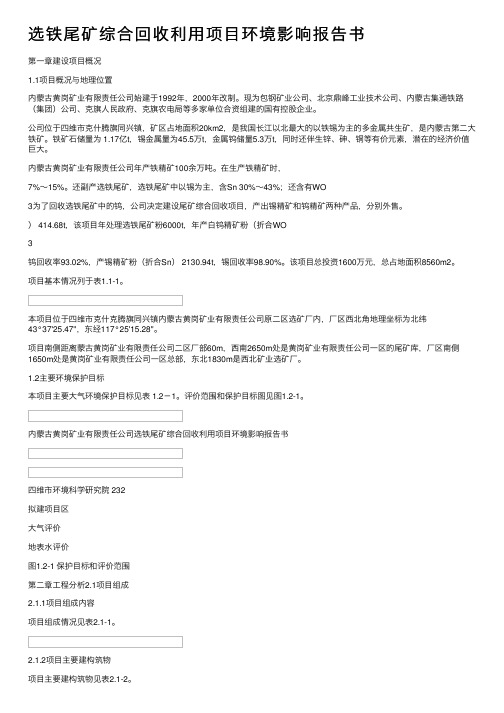 选铁尾矿综合回收利用项目环境影响报告书