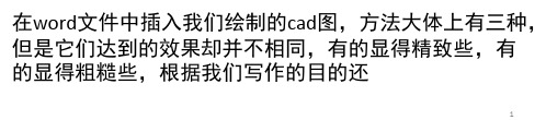 在Word文档中插入Cad图的3种方法