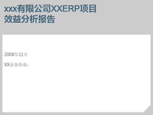 项目效益分析报告  ppt课件