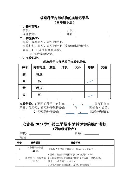 小学科学精品实验：观察种子内部结构