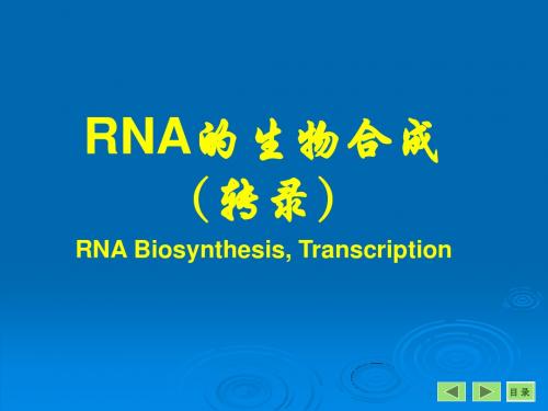 生物化学转录