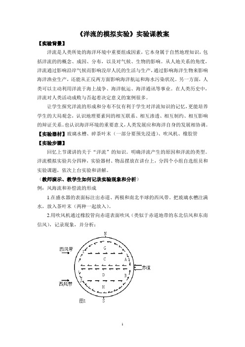 《洋流的模拟实验》实验课