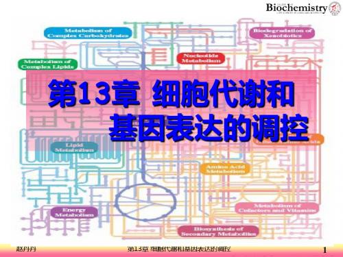 13细胞代谢和基因表达的调控-精选文档