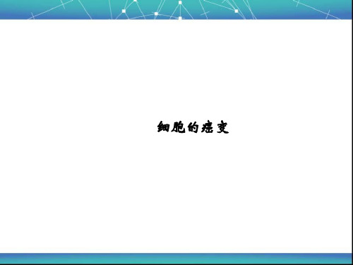 细胞的癌变 课件