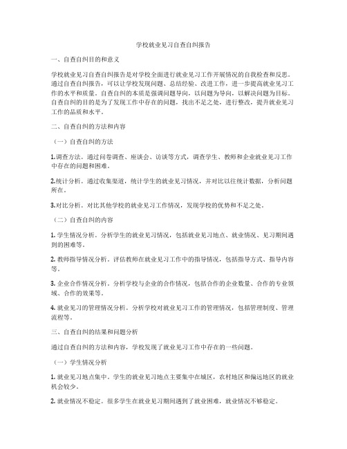 学校就业见习自查自纠报告