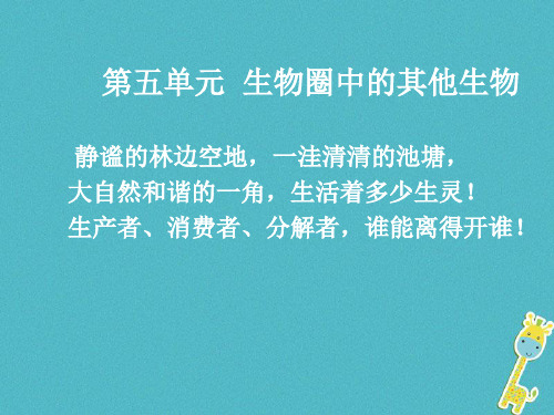 腔肠动物和扁形动物优秀课件