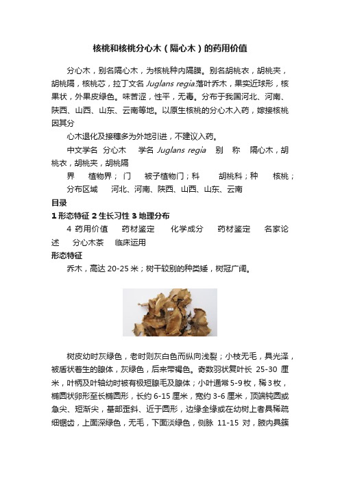 核桃和核桃分心木（隔心木）的药用价值