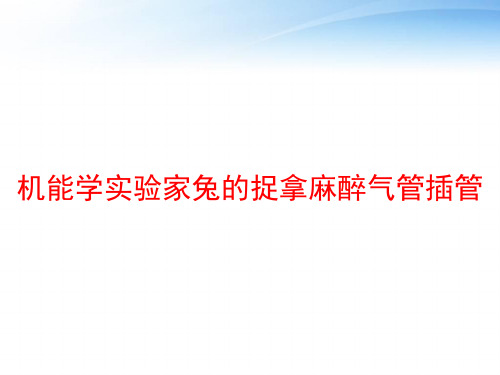 机能学实验家兔的捉拿麻醉气管插管 ppt课件