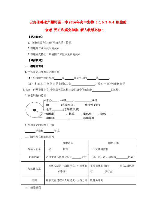 云南省德宏州梁河县一中高中生物 6.1 6.3-6.4 细胞的衰老 死亡和癌变学案 新人教版必修1