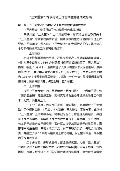 “三大整治”专项行动工作总结暨特色成效总结