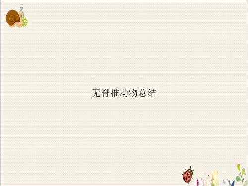 无脊椎动物总结PPT.