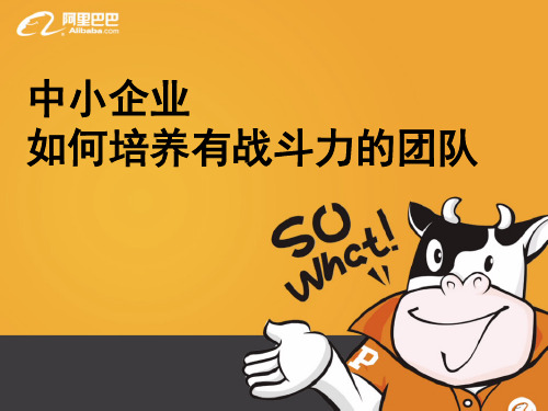 人资规划专题-51、团队建设-阿里巴巴:中小企业如何培养有战斗力的团队