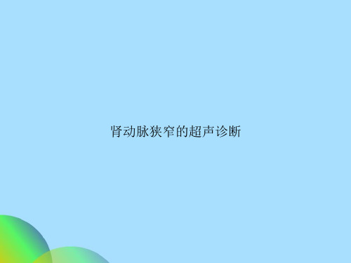 肾动脉狭窄的超声诊断