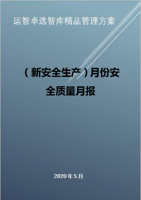 (新安全生产)月份安全质量月报