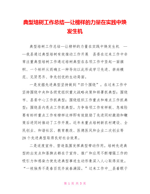 典型培树工作总结—让榜样的力量在实践中焕发生机