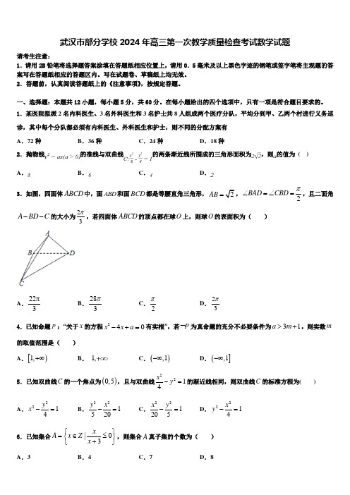 武汉市部分学校2024年高三第一次教学质量检查考试数学试题