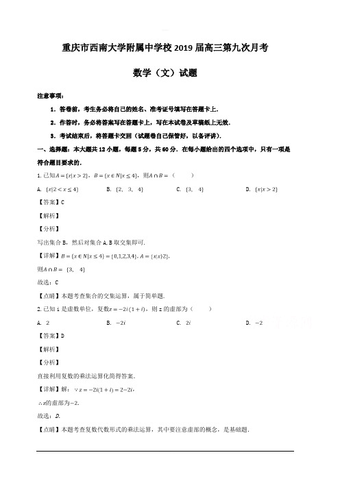 重庆市西南大学附属中学校2019届高三第九次月考数学(文)试题 含解析