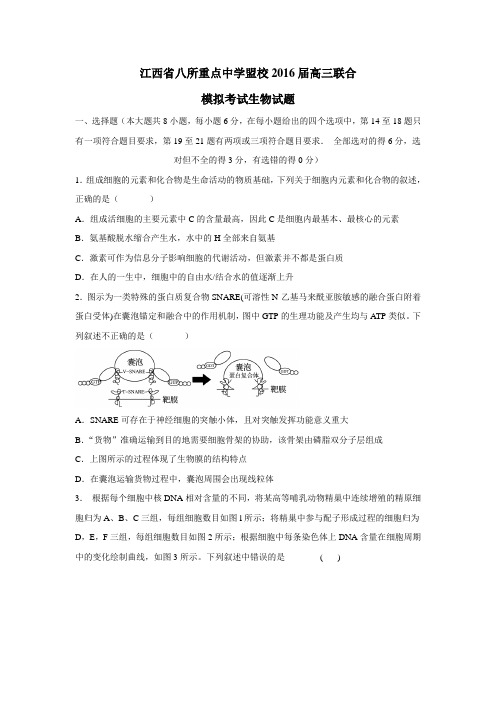 校2016届高三联合模拟考试生物试题(附答案)