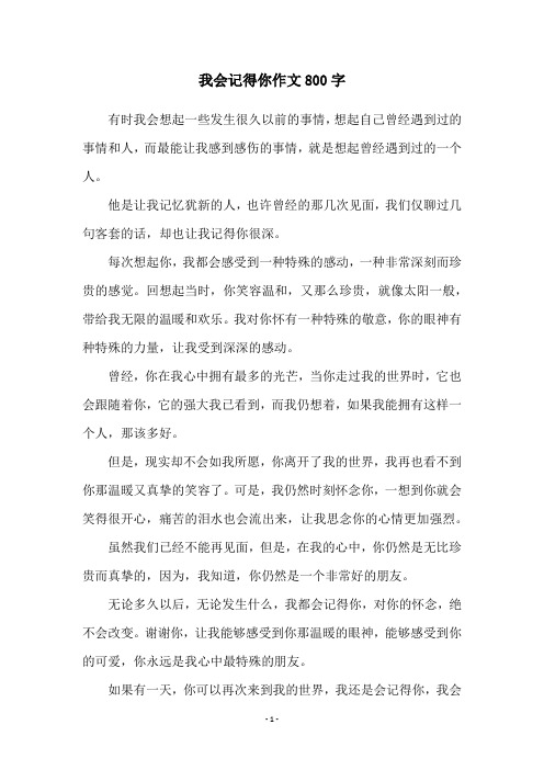 我会记得你作文800字