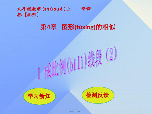 九年级数学上册第4章图形的相似1成比例线段课件2(新版)北师大版