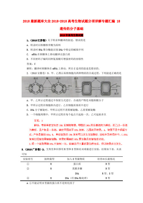 2018最新题库大全2018高考生物试题分项详解专题汇编2018遗传的分子基础 精品