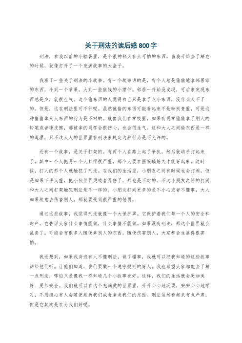 关于刑法的读后感800字