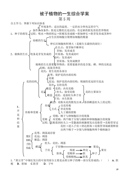 被子植物的一生综合学案