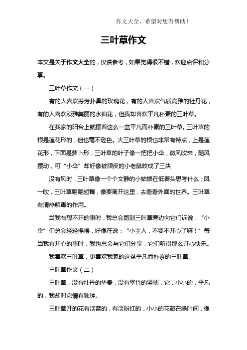 三叶草作文