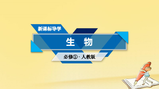 2018-2019学年高一生物人教版必修一课件:章末归纳整合 第3章