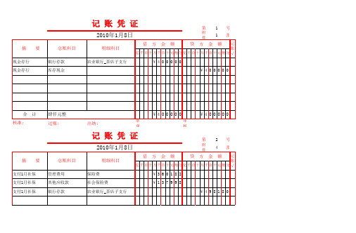 2010年财务报表