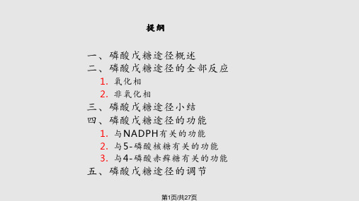 第二十四章磷酸戊糖途径PPT课件