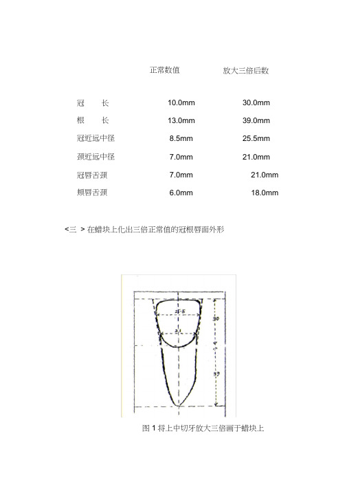 上颌切牙雕刻附图(20210305074424)