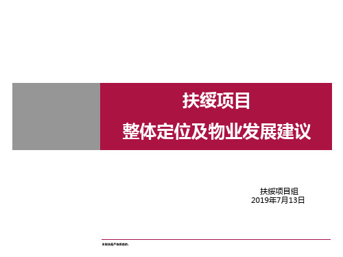 2019年崇左市扶绥项目整体定位及物业发展建议